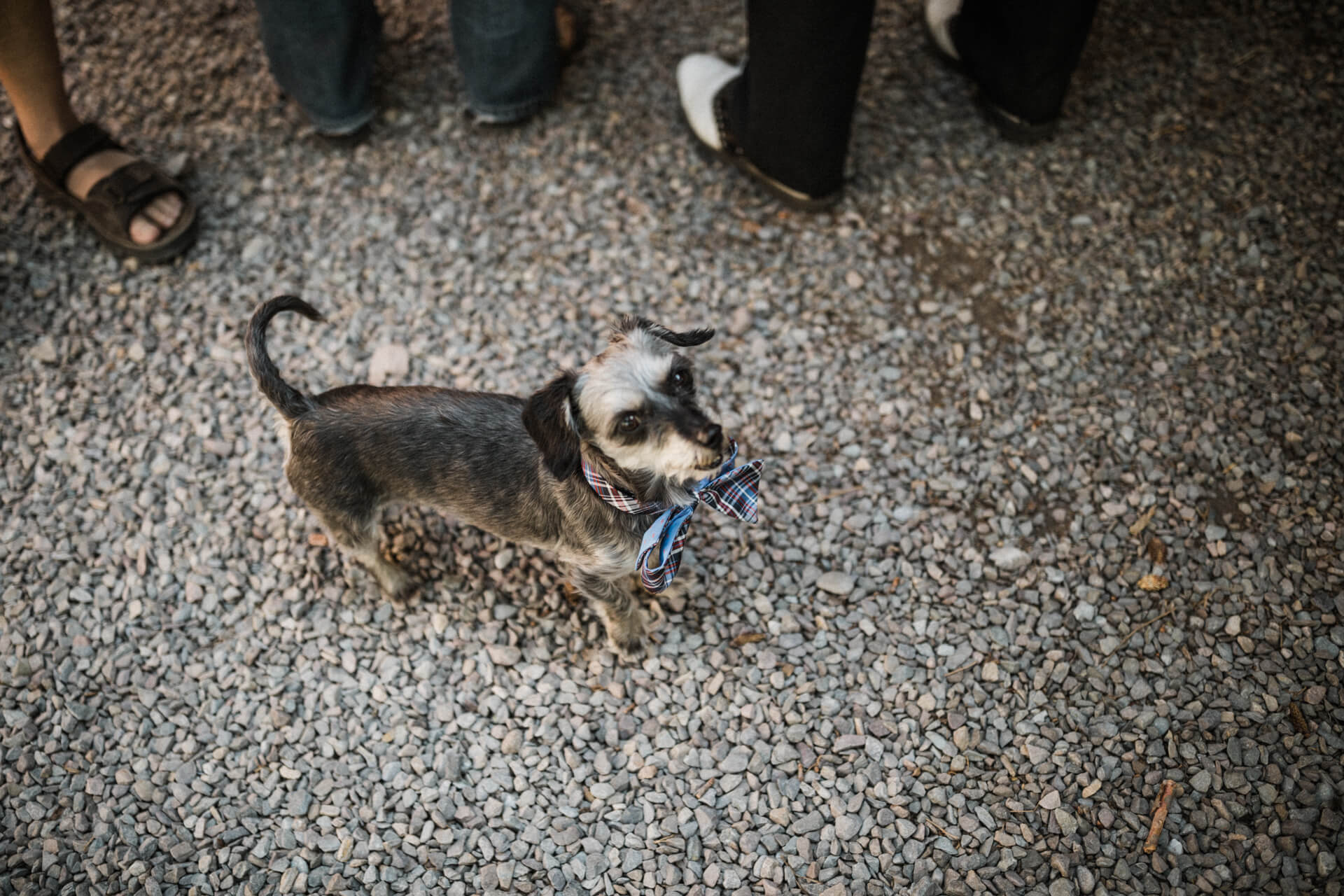 Montana Wedding Photographers Montana Destination Wedding Photographers | Cluney Photography