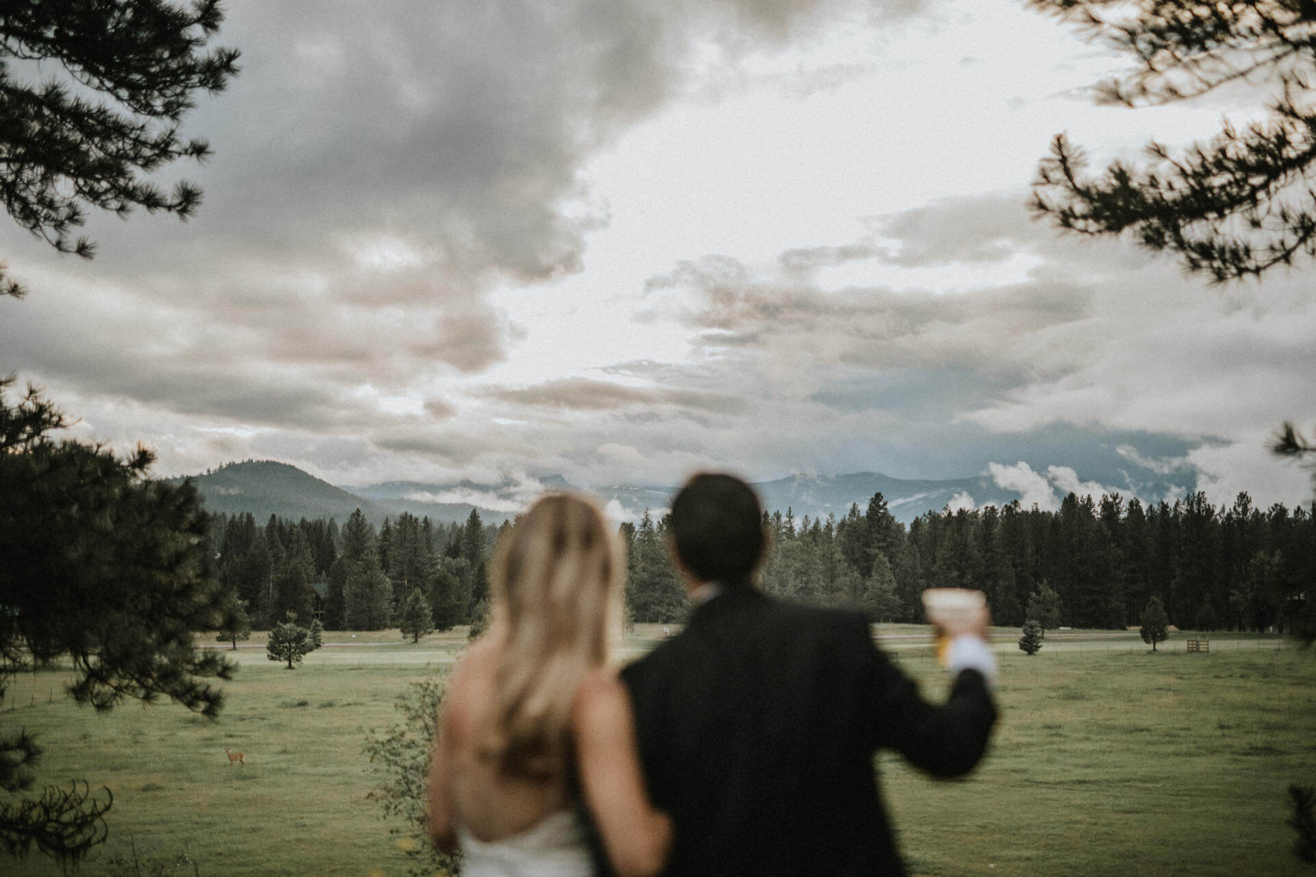 Montana Wedding Photographers Montana Wedding Photographers | Cluney Photography