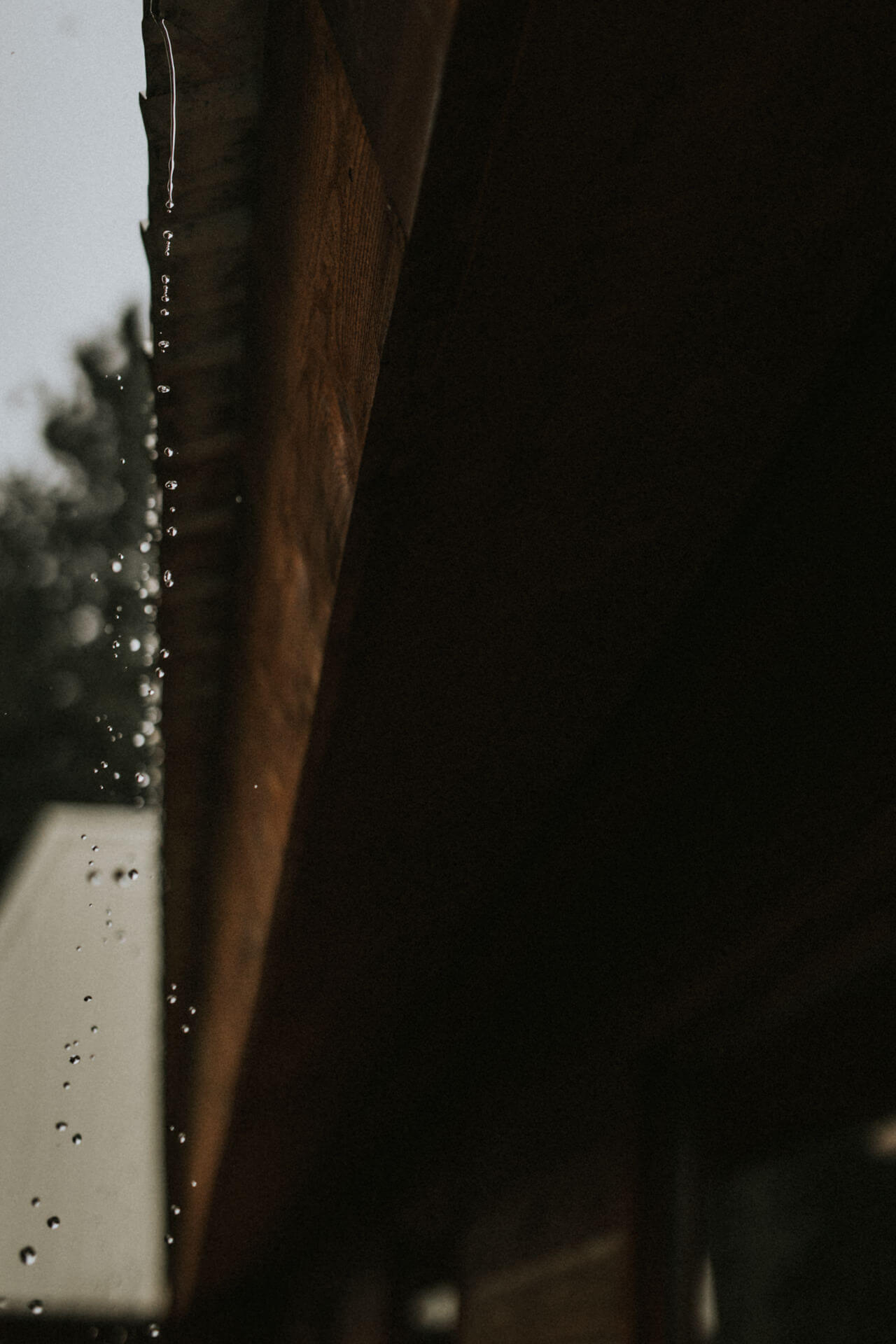 Montana Wedding Photographers Montana Wedding Photographers | Cluney Photography