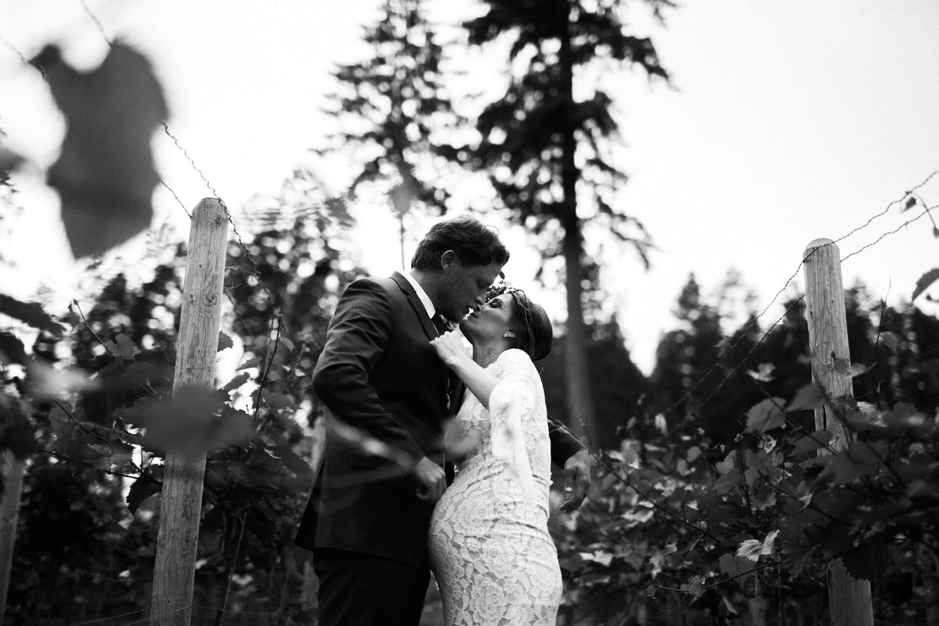 Montana Wedding Photographers Montana Bride