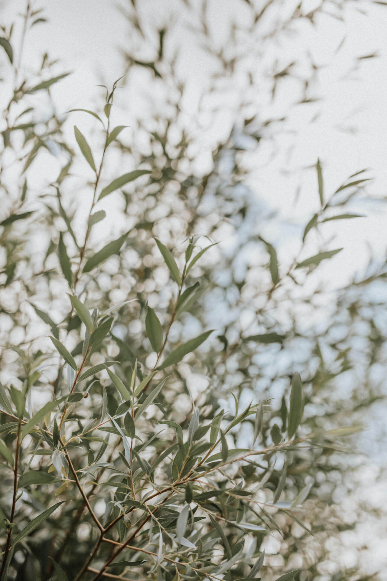 Montana Wedding Photographers Missoula Wedding Photographers | Cluney Photography
