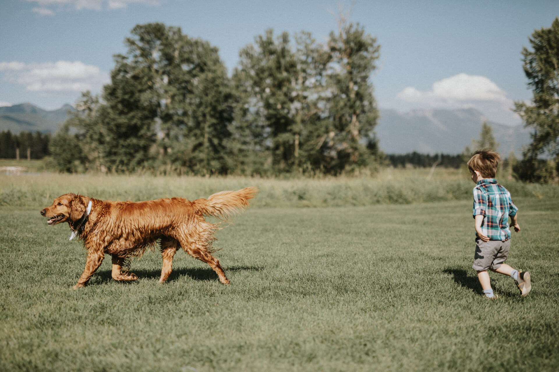 Montana Wedding Photographers Whitefish Wedding Photographers | Cluney Photography