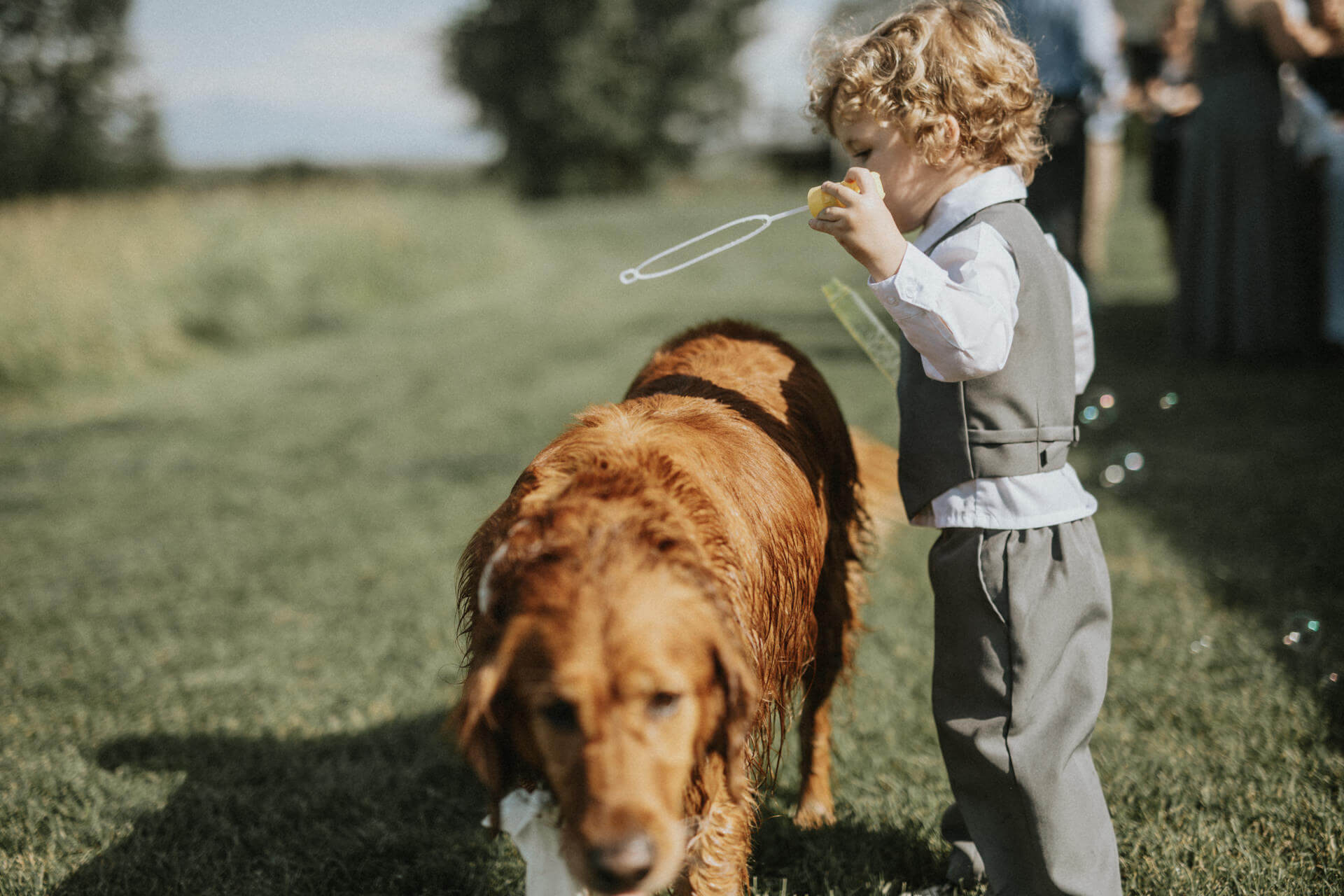 Montana Wedding Photographers Whitefish Wedding Photographer | Cluney Photography