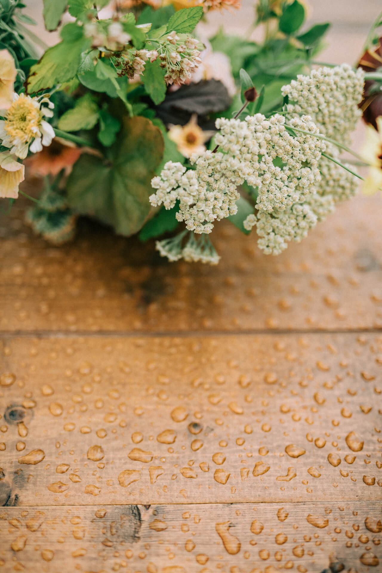 Des Moines Wedding Photographers Des Moines Wedding Photographers | Cluney Photography