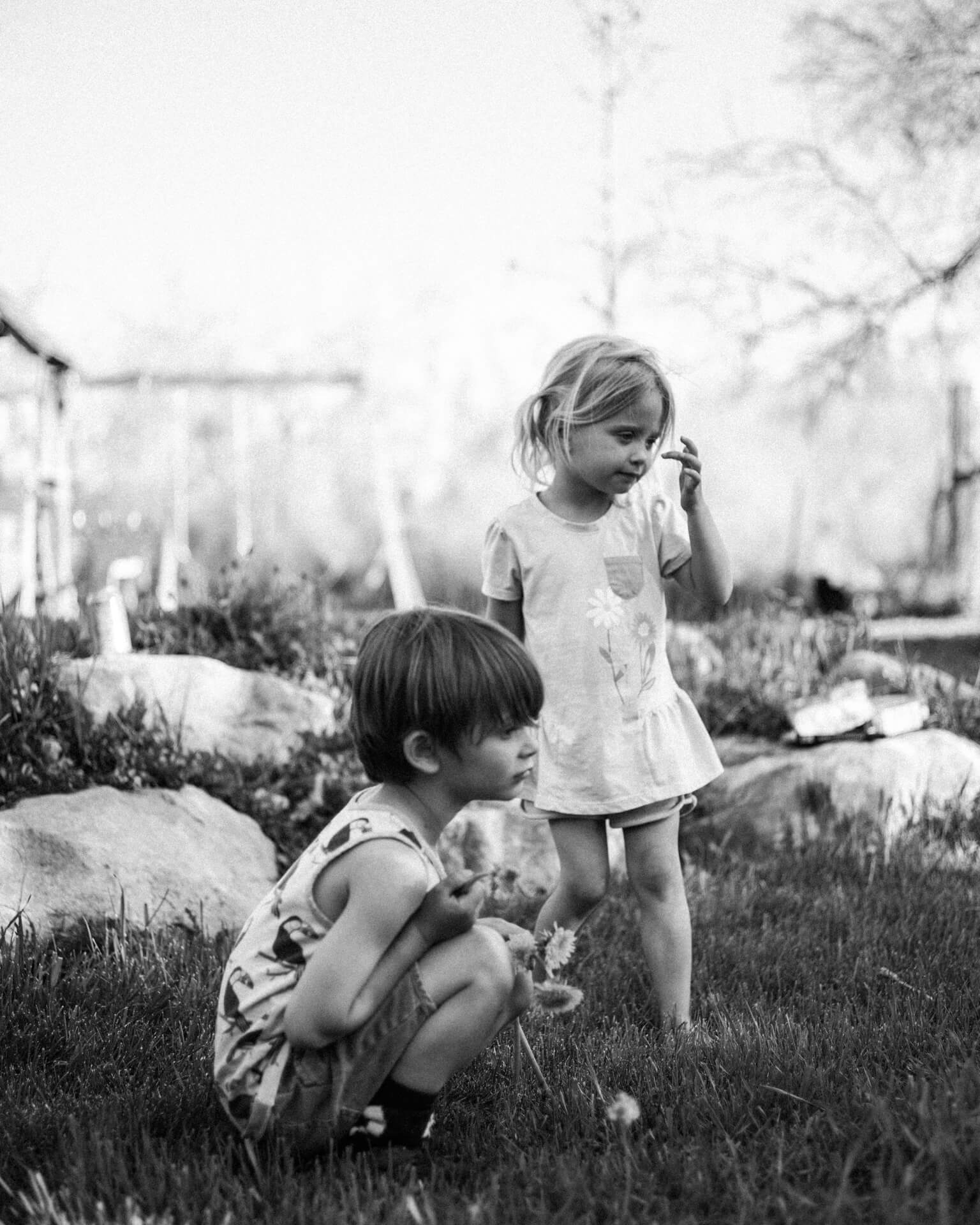 Des Moines Family Photographers Des Moines Wedding Photographers