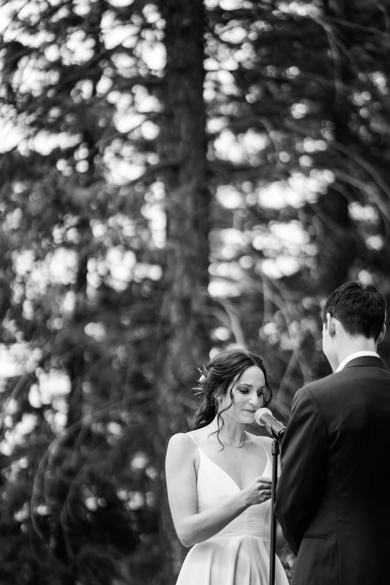 Des Moines Wedding Photographers Des Moines Wedding Photographers