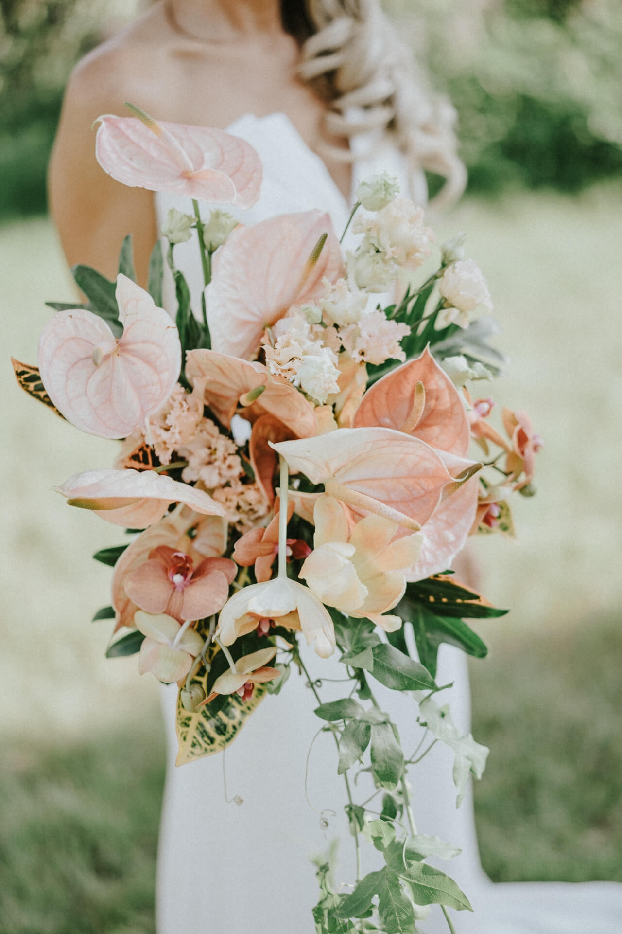 Des Moines Wedding Photographer Des Moines Wedding Photographer